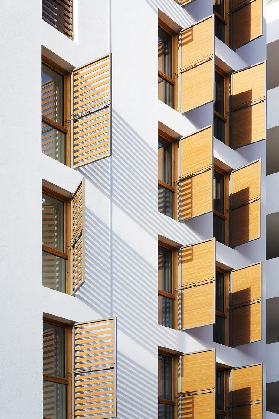Céline Martin Yellow Architecture – Entre Mêlée, Montpellier Ovalie, ACM Habitat – photo 3